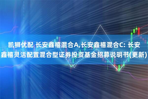 凯狮优配 长安鑫禧混合A,长安鑫禧混合C: 长安鑫禧灵活配置混合型证券投资基金招募说明书(更新)