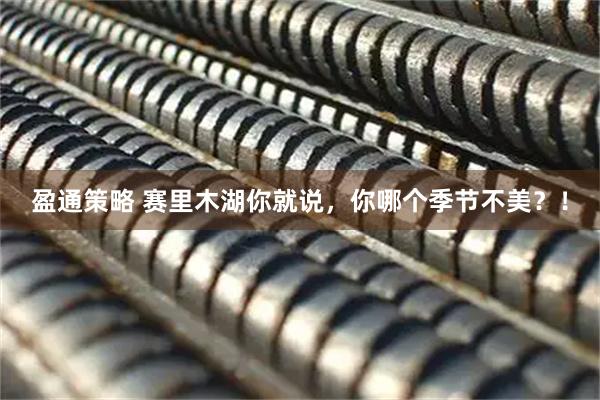 盈通策略 赛里木湖你就说，你哪个季节不美？！