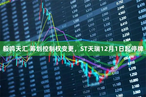 毅鸣天汇 筹划控制权变更，ST天瑞12月1日起停牌