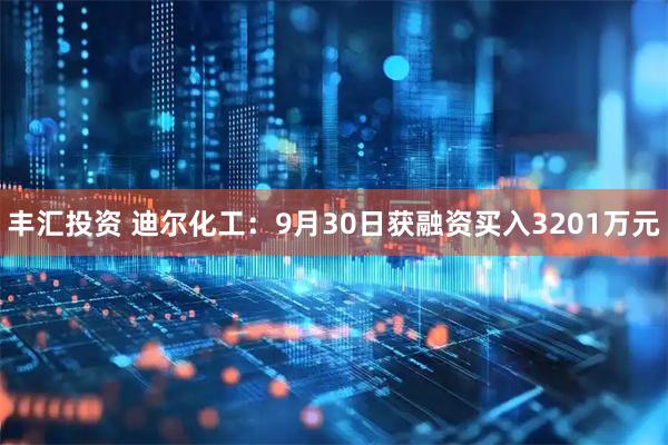 丰汇投资 迪尔化工：9月30日获融资买入3201万元